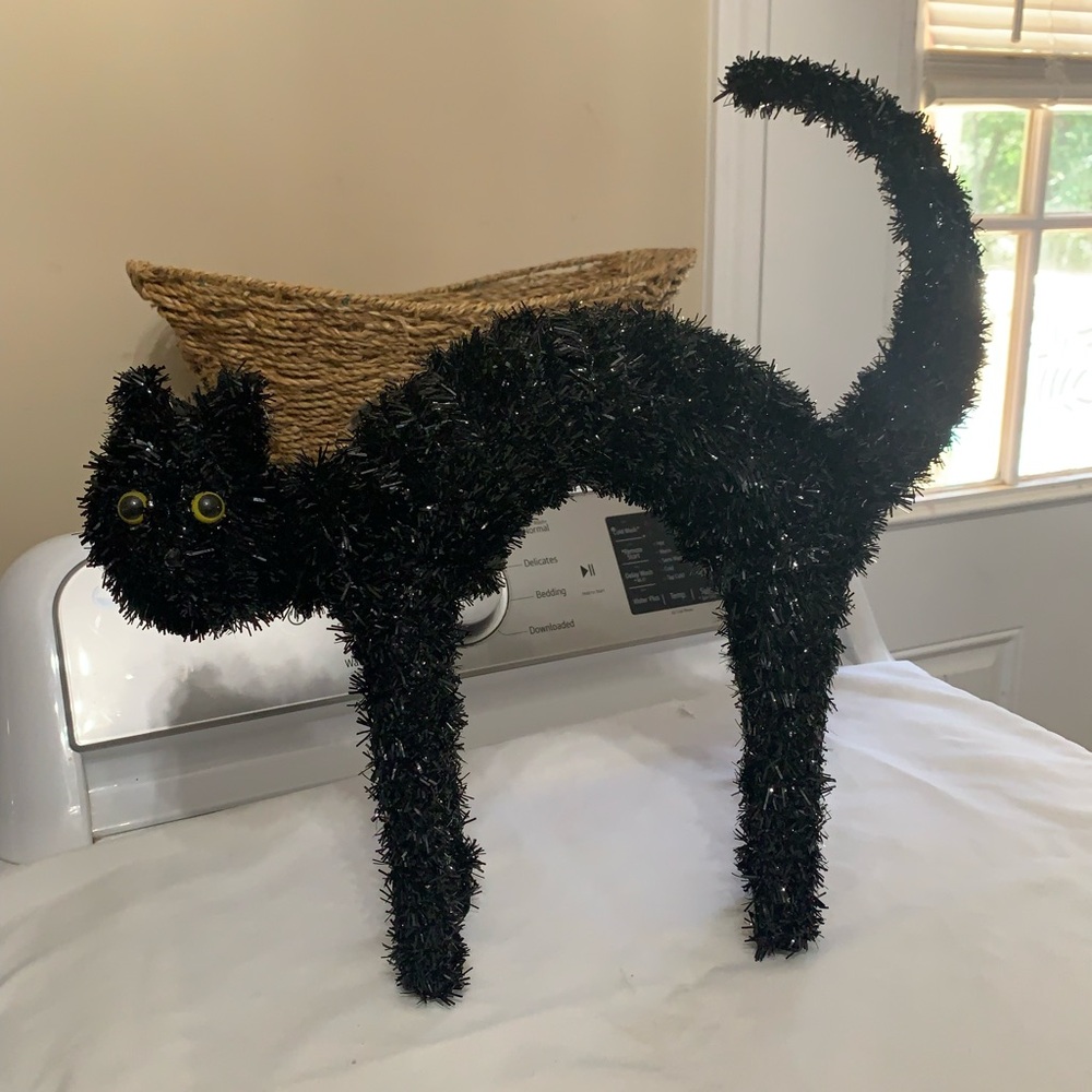 Halloween scary black cat